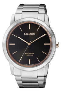 Men's Citizen Eco-Drive Titanium Watch AW2024-81E